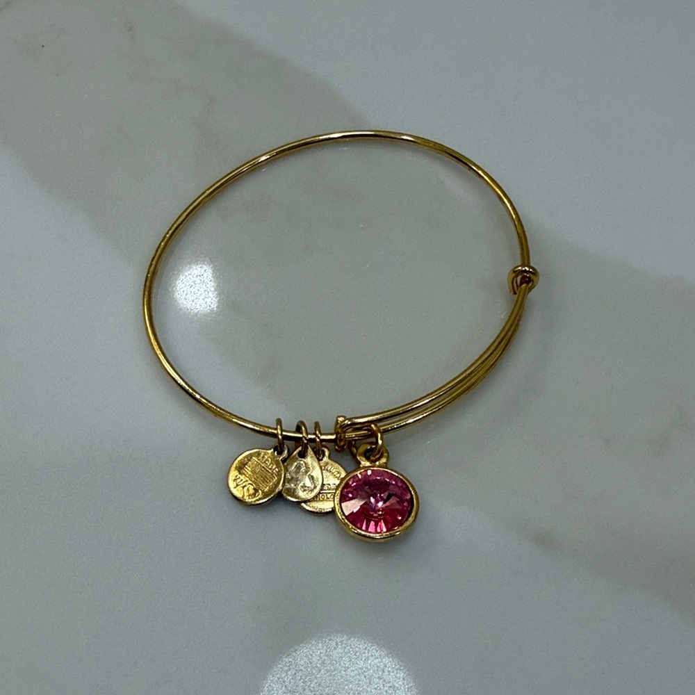 Gold Charm Bangle Bracelet Alex and Ani